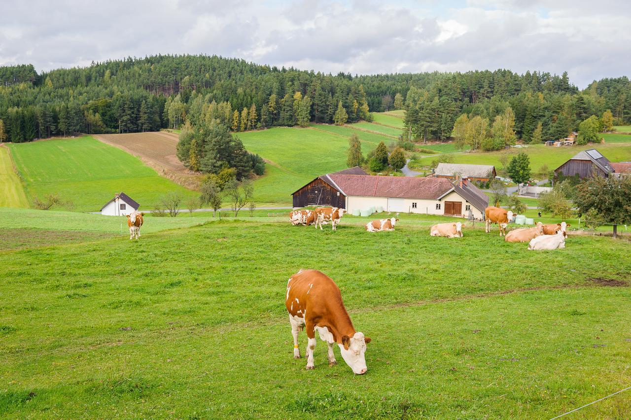 Gasthof Pension Seidl Arbesbach Exterior foto